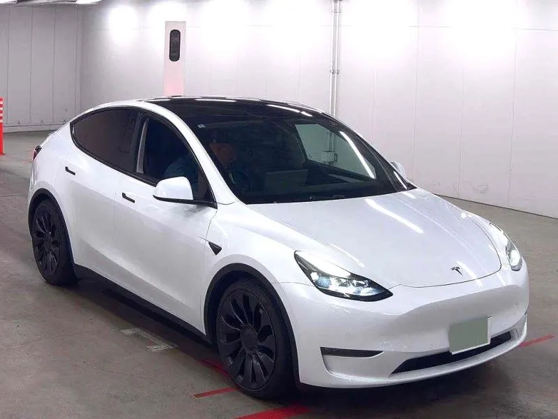 2023 Tesla Model Y Performance AWD Dual Motor Long Range, photo 3