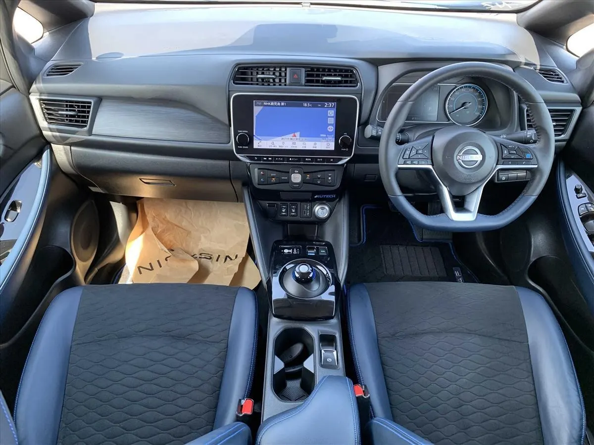 2021 Nissan Leaf AUTECH (40kWh) — photo 8