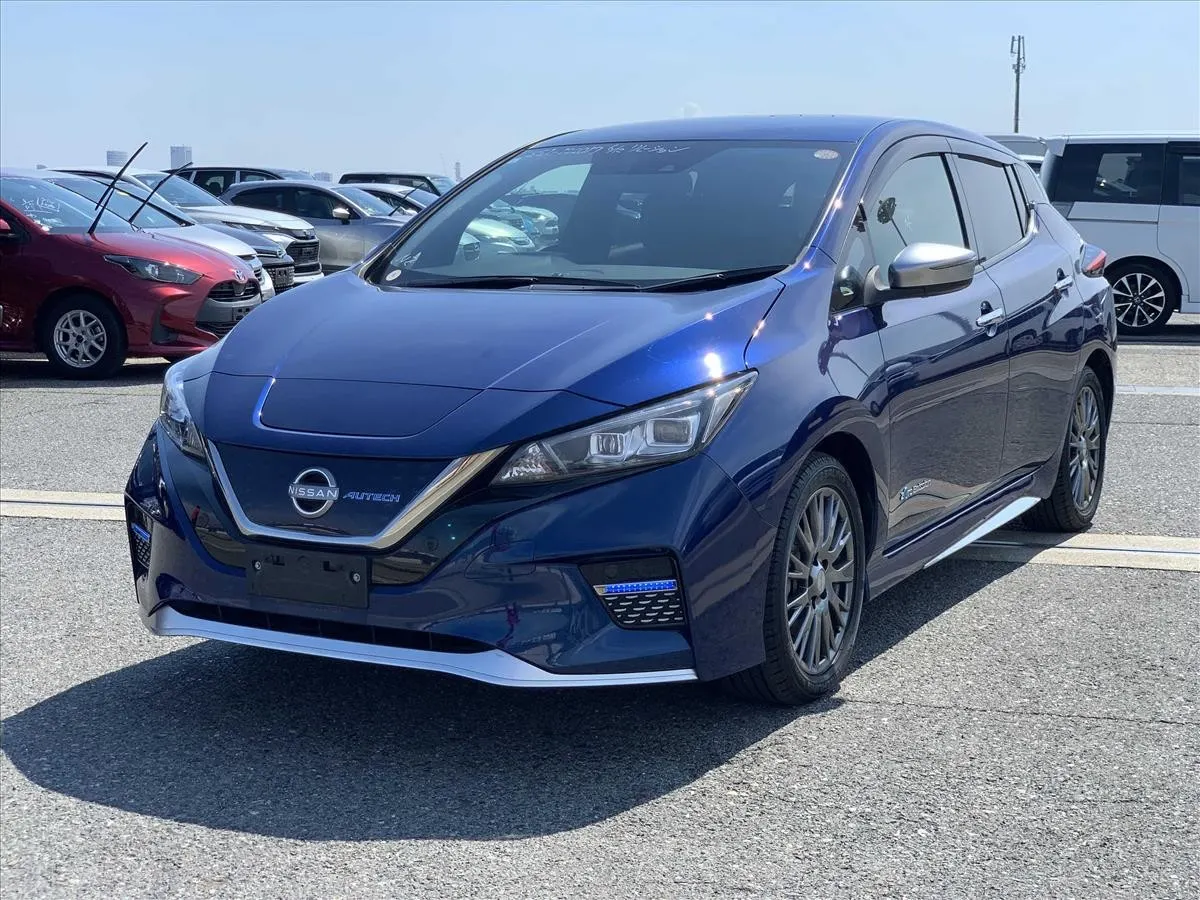 2021 Nissan Leaf AUTECH (40kWh) — photo 3