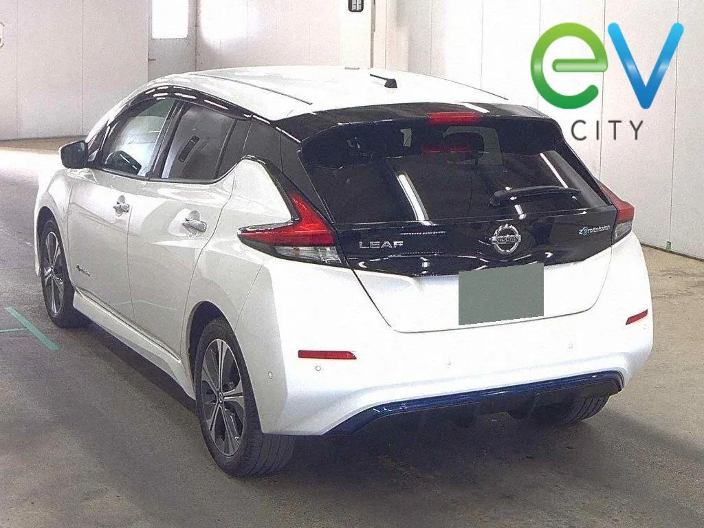 2019 Nissan Leaf G E+ (62kWh) — photo 3