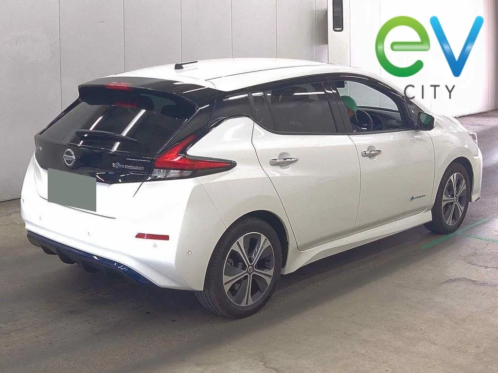 2019 Nissan Leaf G E+ (62kWh) — photo 2