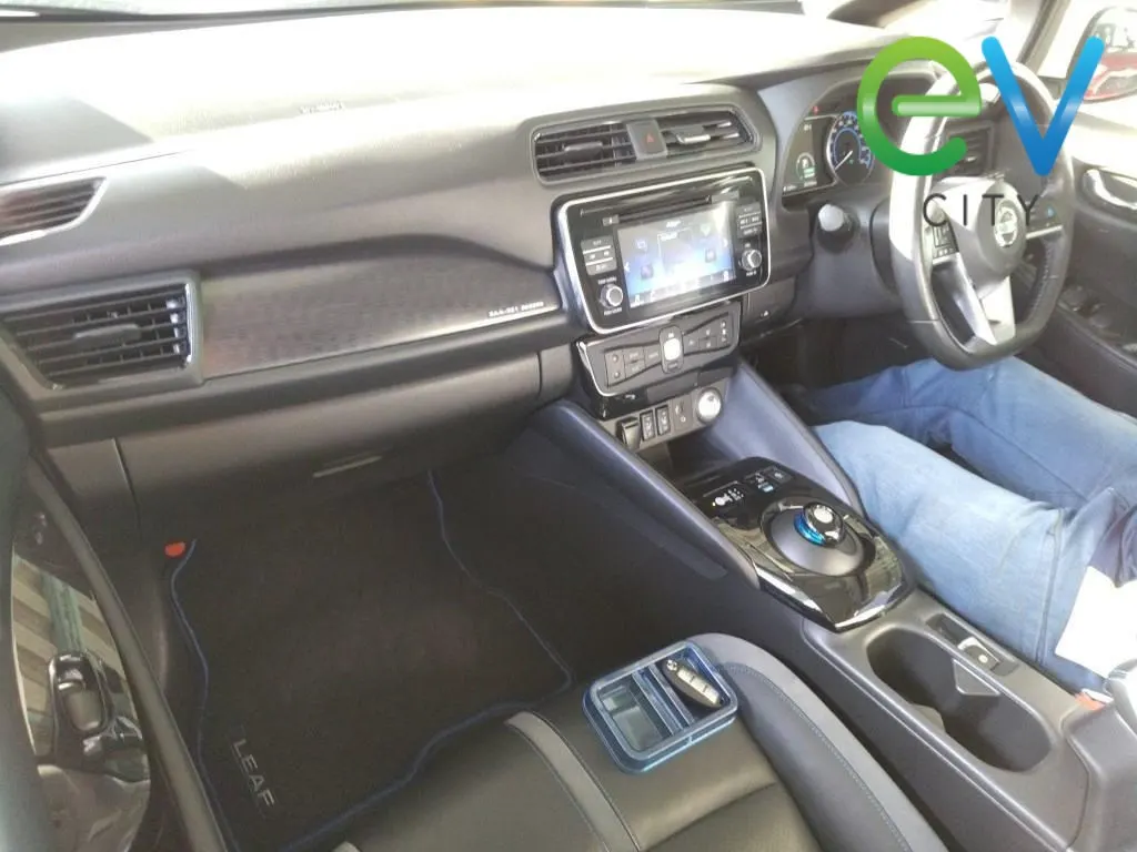 2019 Nissan Leaf G E+ (62kWh) — photo 6