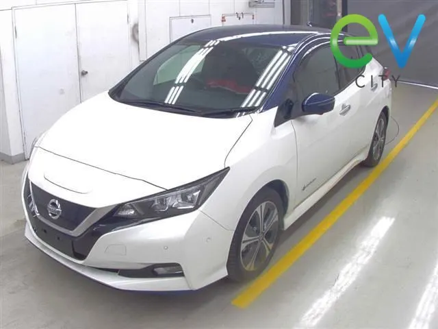 2021 Nissan Leaf G E+ (62kWh) — photo 4