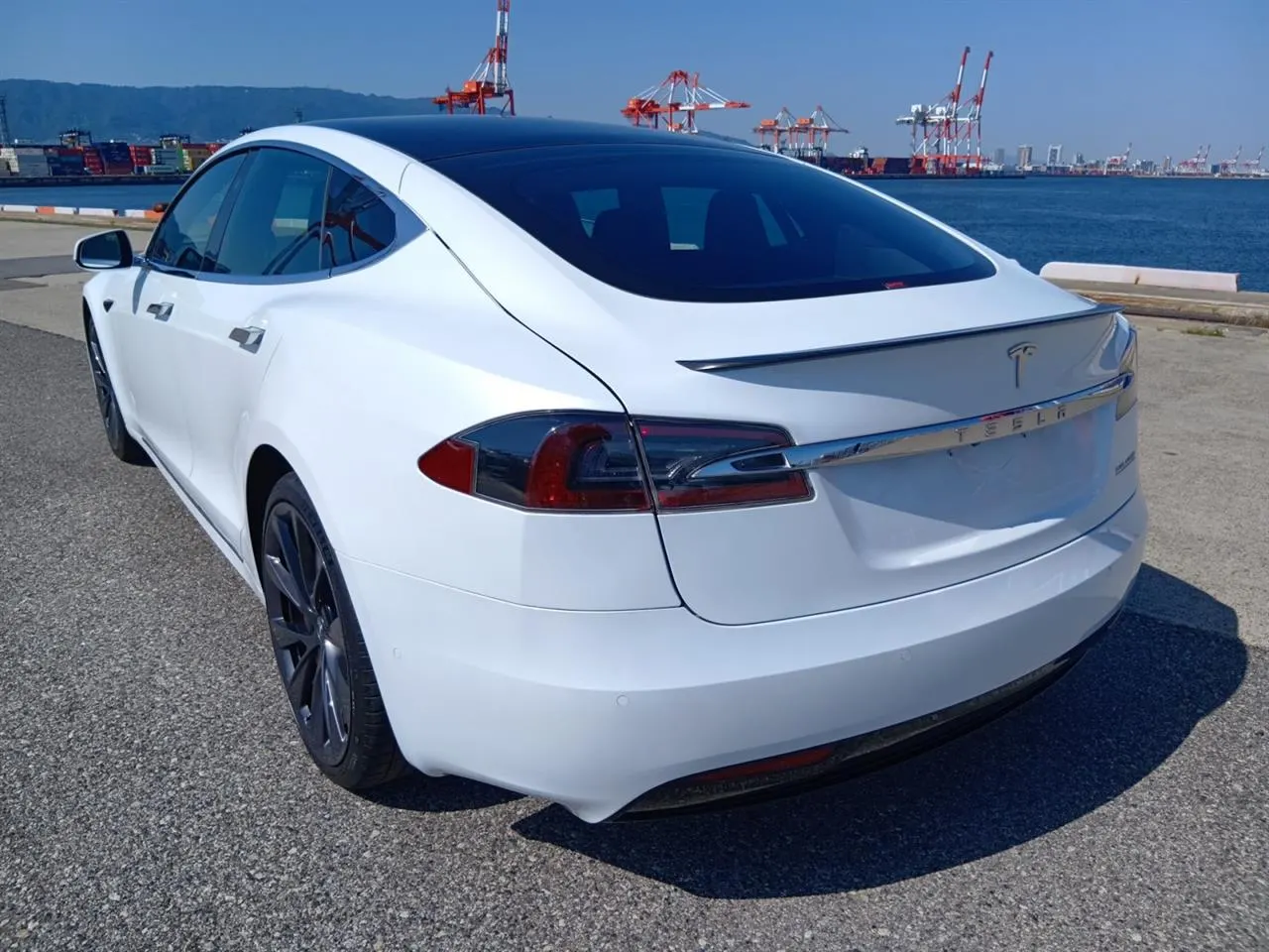 2019 Tesla Model S Performance Ludicrous Raven (100kWh) — photo 2