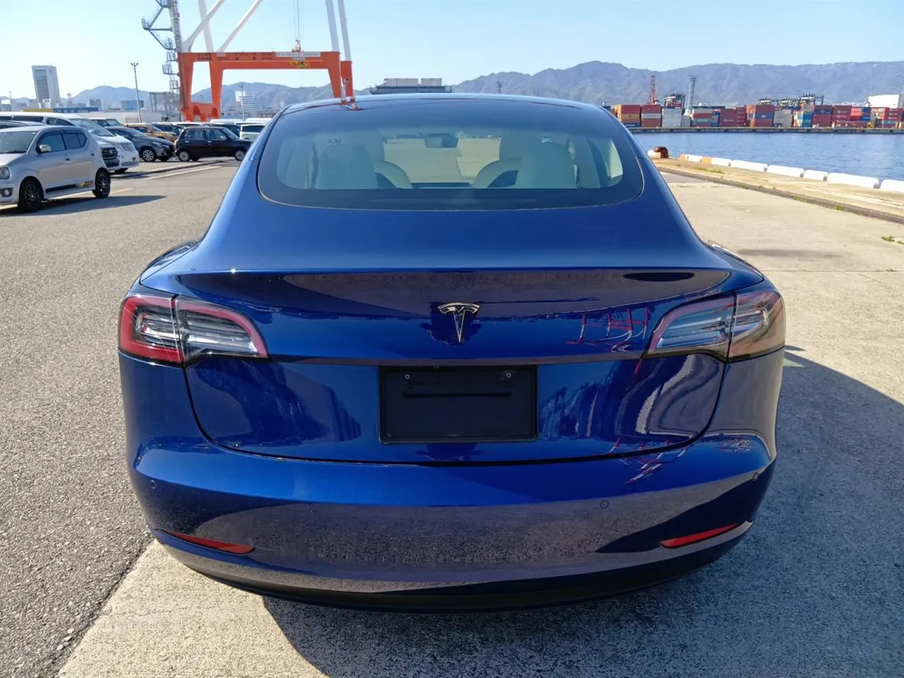 2021 Tesla Model 3 LFP RWD (60kWh) — photo 6