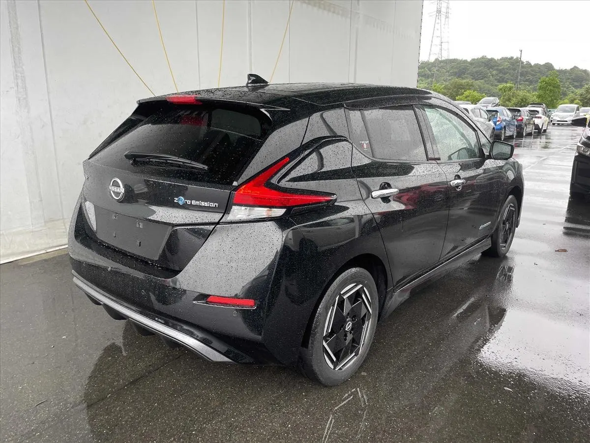 2023 Nissan Leaf e+ X (62kWh) — photo 2