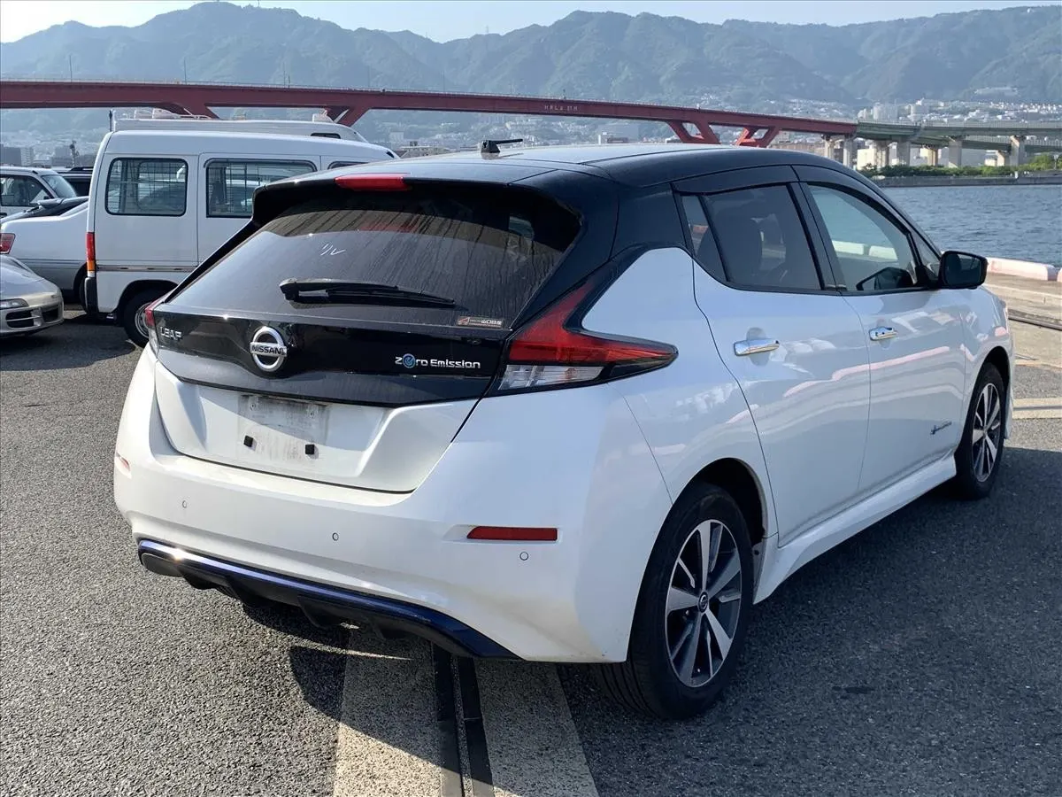2019 Nissan Leaf e+ X (62kWh), photo 2