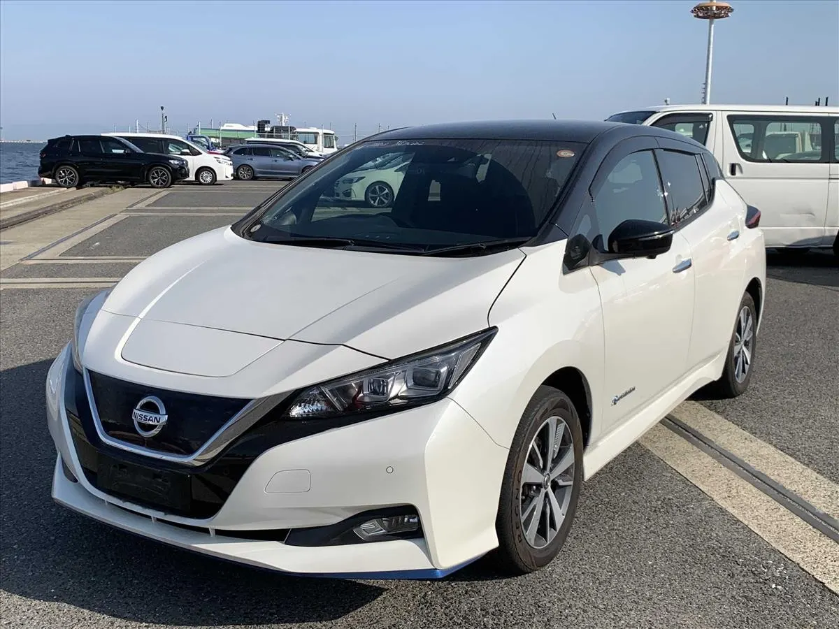 2019 Nissan Leaf e+ X (62kWh), photo 3