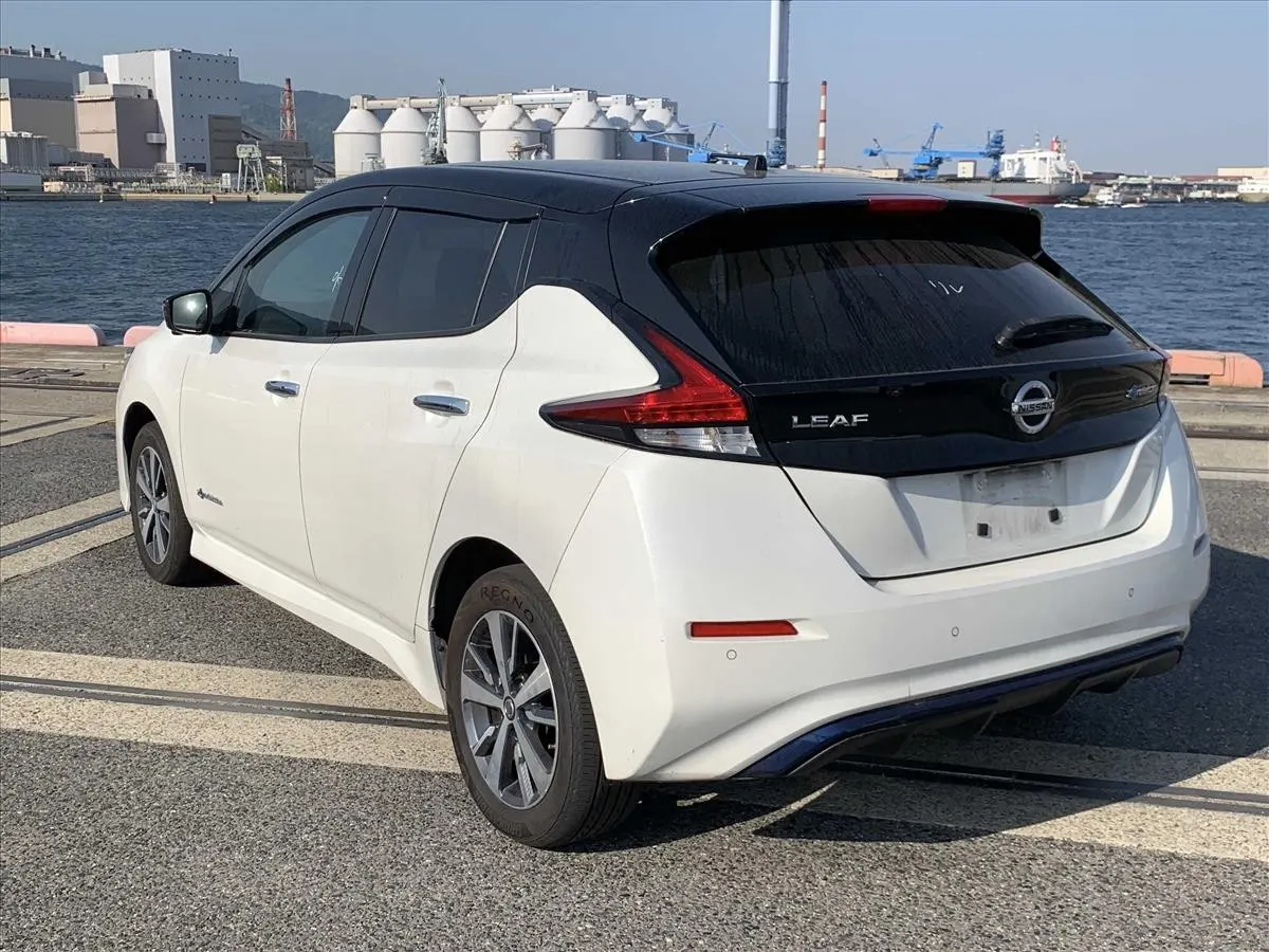 2019 Nissan Leaf e+ X (62kWh), photo 4