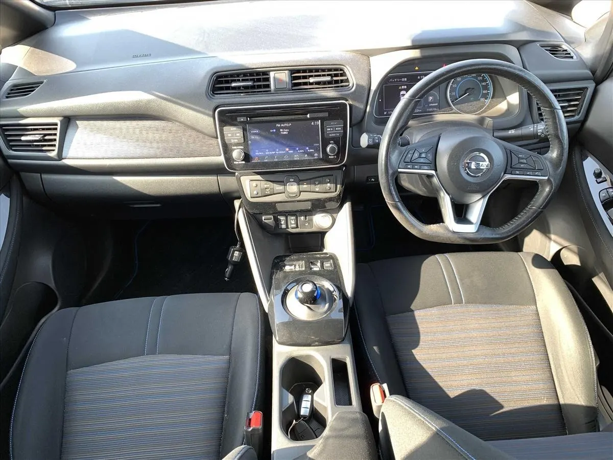 2019 Nissan Leaf e+ X (62kWh), photo 9