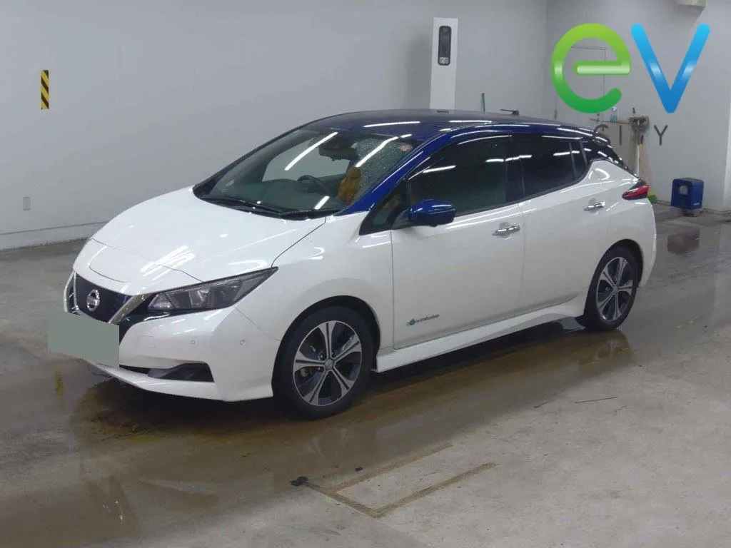 2018 Nissan Leaf X (40kWh) 360 Camera — photo 4