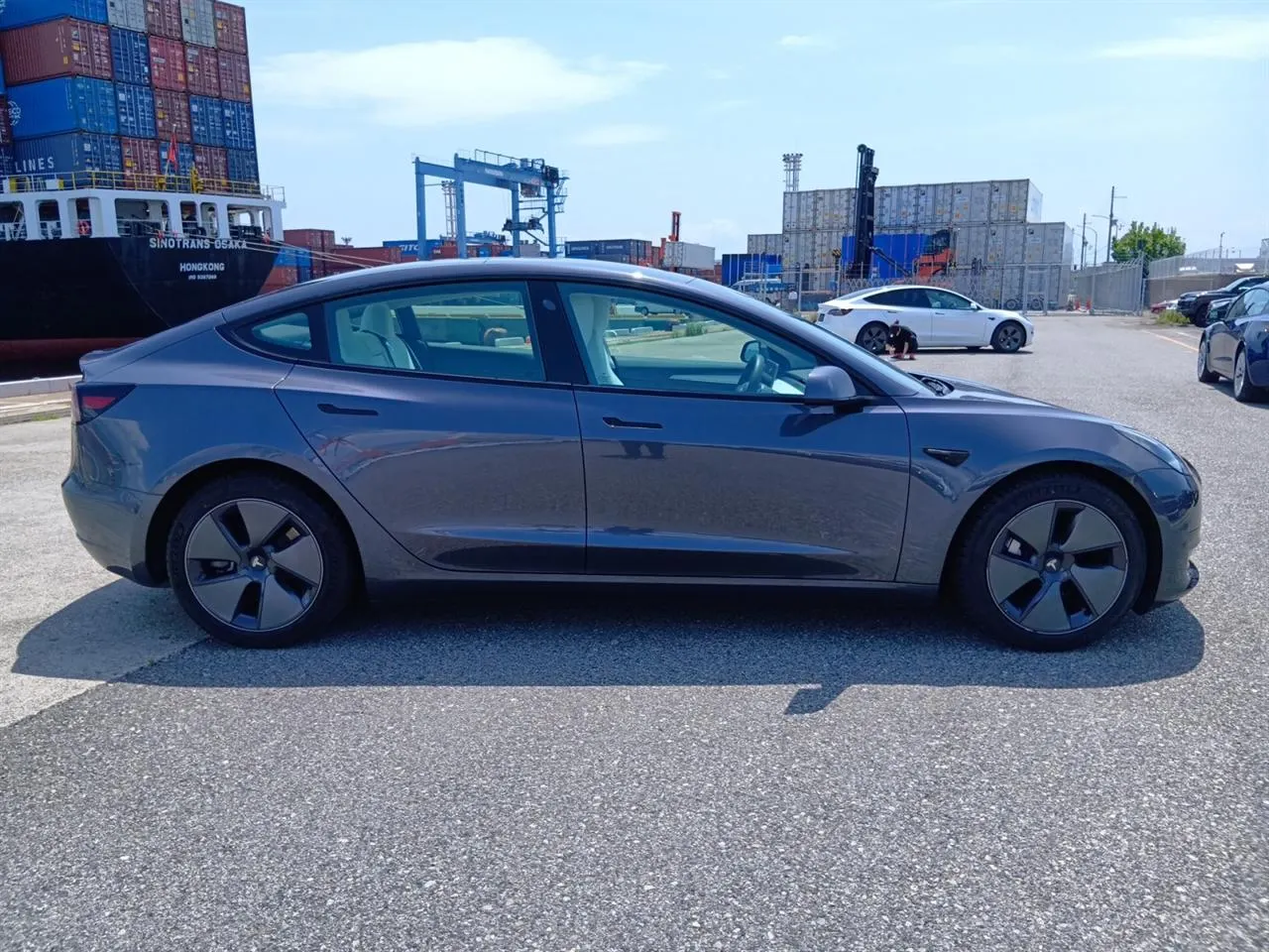 2021 Tesla Model 3 LFP RWD Refresh (60kWh) — photo 8