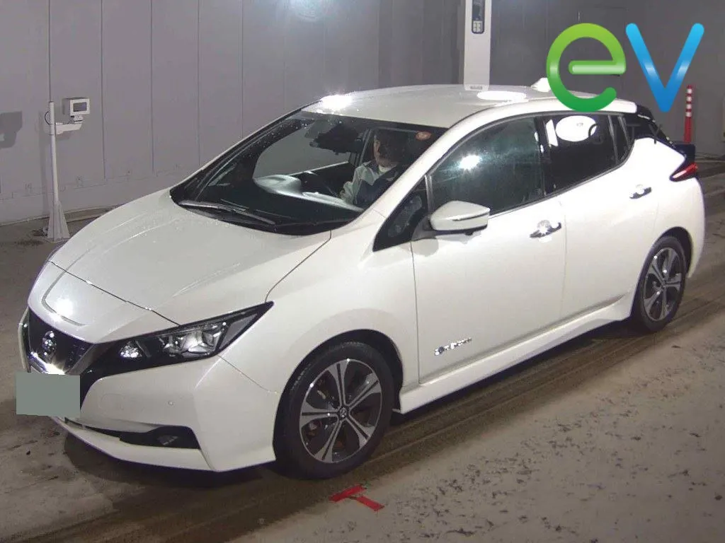 2020 Nissan Leaf X (40kWh) — photo 4