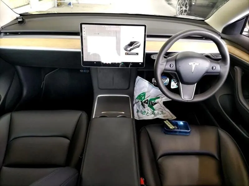 2021 Tesla Model 3 SR+ Refresh (55kWh LFP) — photo 6