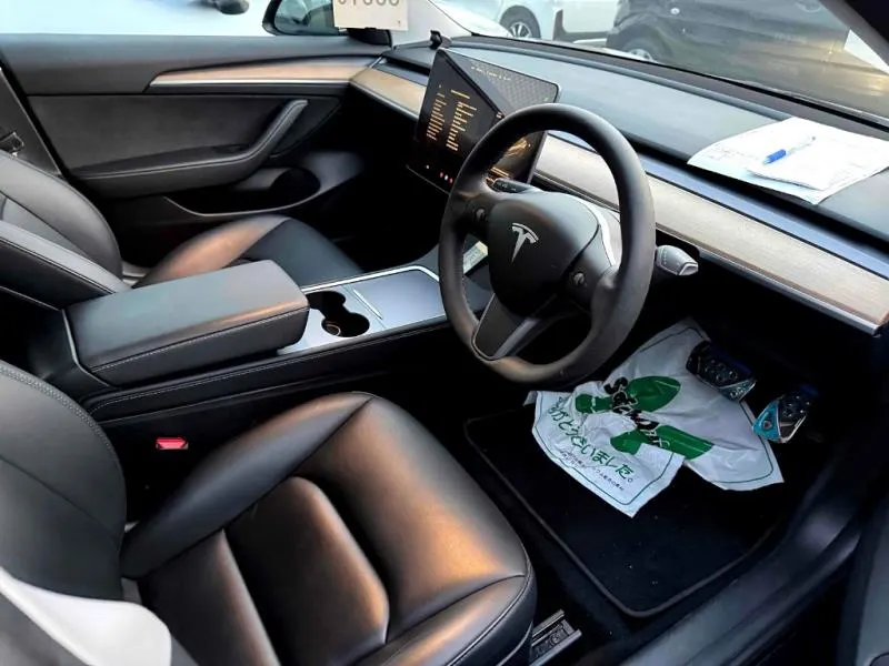 2021 Tesla Model 3 SR+ Refresh (55kWh LFP) — photo 5