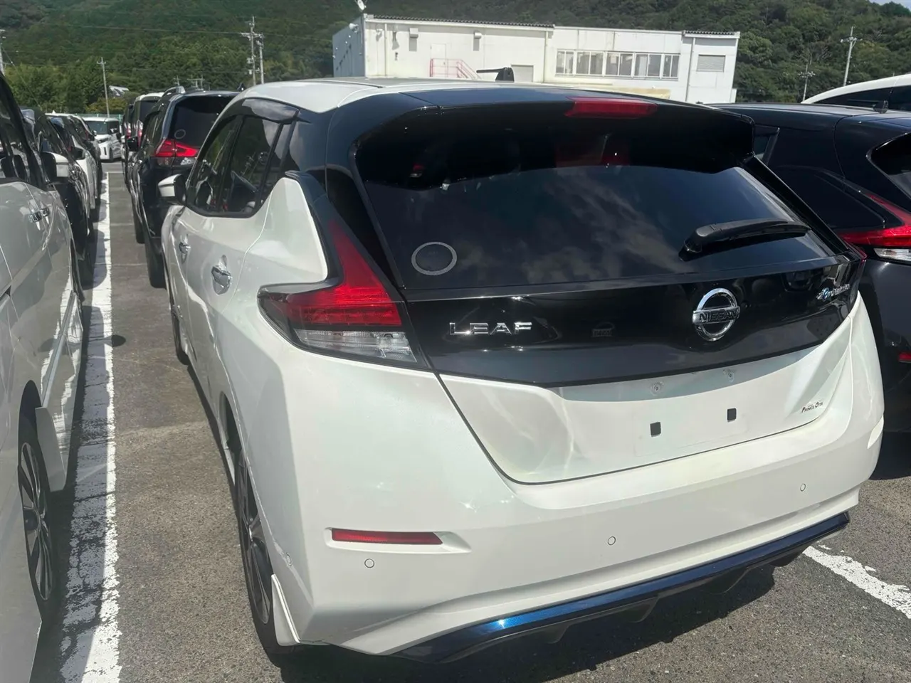 2019 Nissan Leaf e+ X (62kWh) — photo 3
