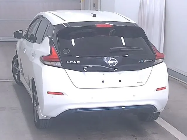2019 Nissan Leaf e+ X (62kWh) — photo 4