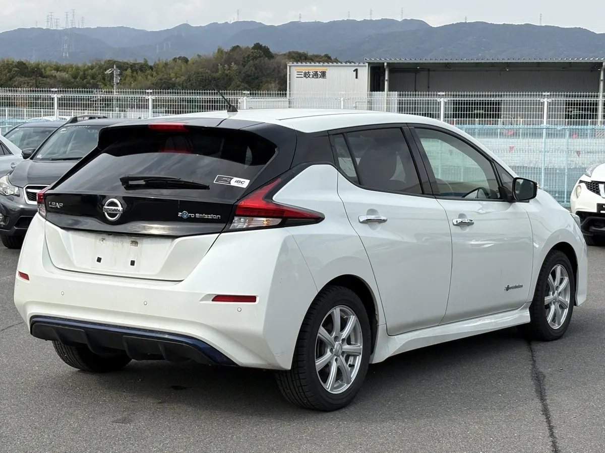 2019 Nissan Leaf X (40kWh), photo 2