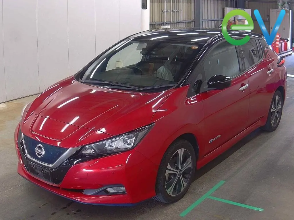 2020 Nissan Leaf G E+ (62kWh), photo 5