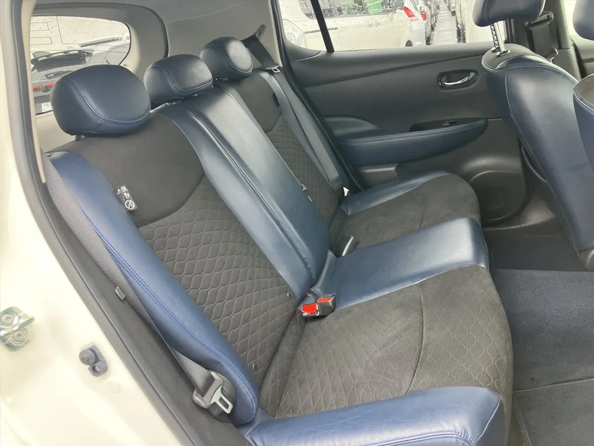 2019 Nissan Leaf AUTECH (40kWh) — photo 10
