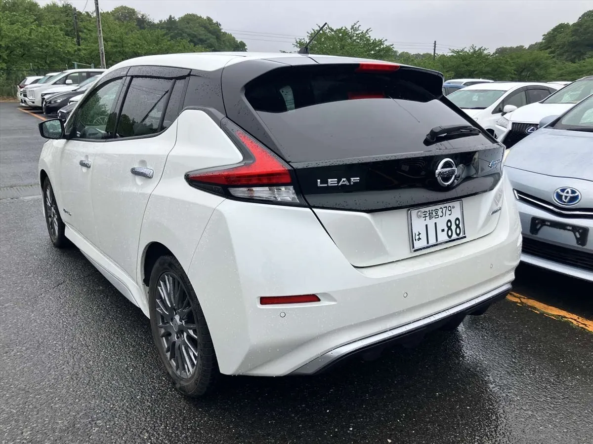 2019 Nissan Leaf AUTECH (40kWh) — photo 4