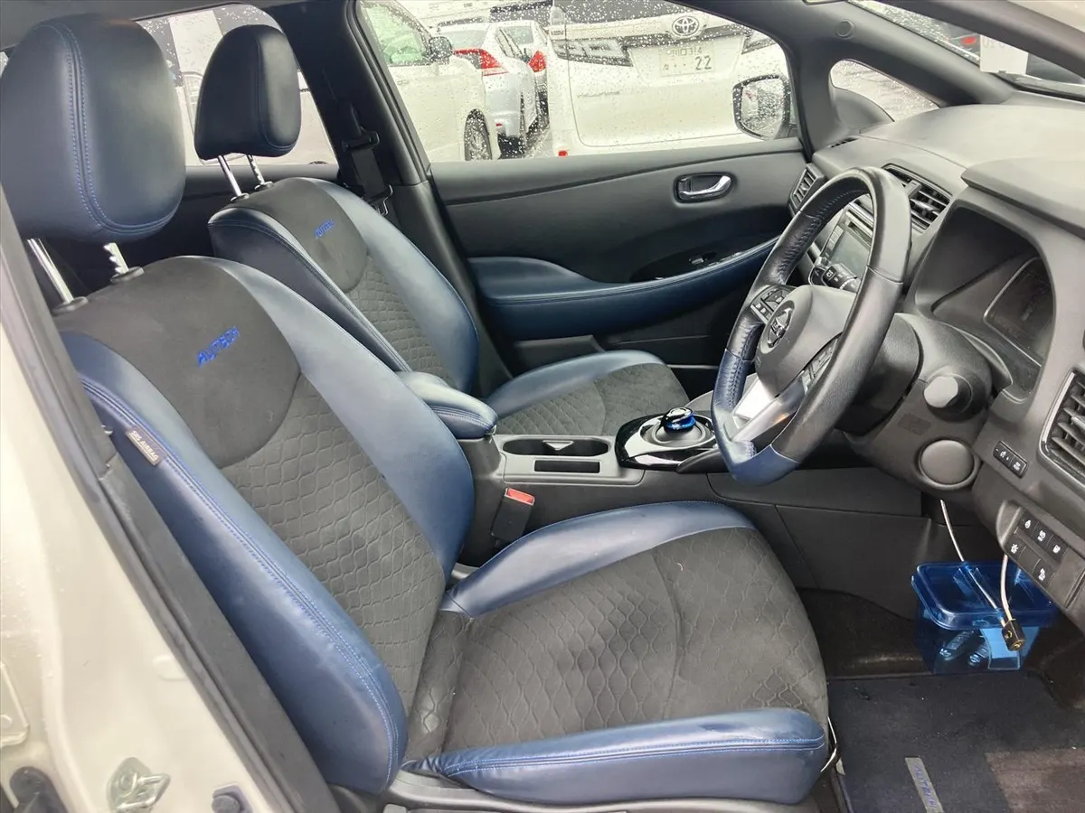 2019 Nissan Leaf AUTECH (40kWh) — photo 6
