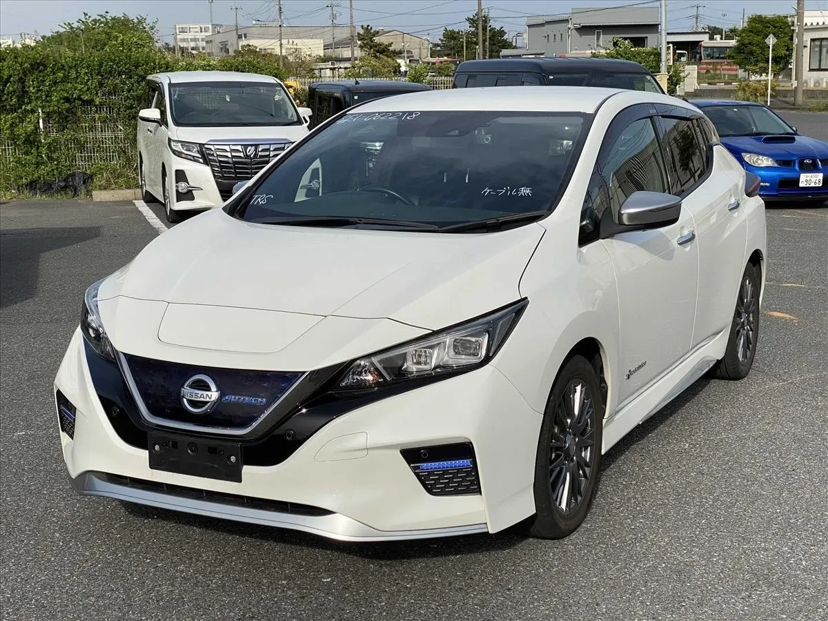 2019 Nissan Leaf AUTECH (40kWh) — photo 3