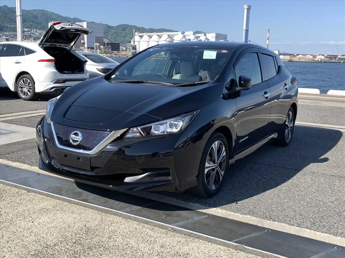 2021 Nissan Leaf X V Selection (40kWh), photo 3