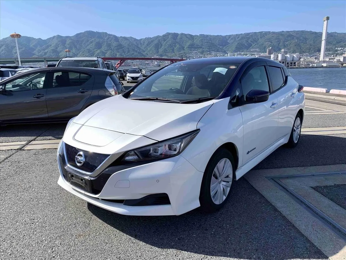 2021 Nissan Leaf S (40kWh) — photo 3