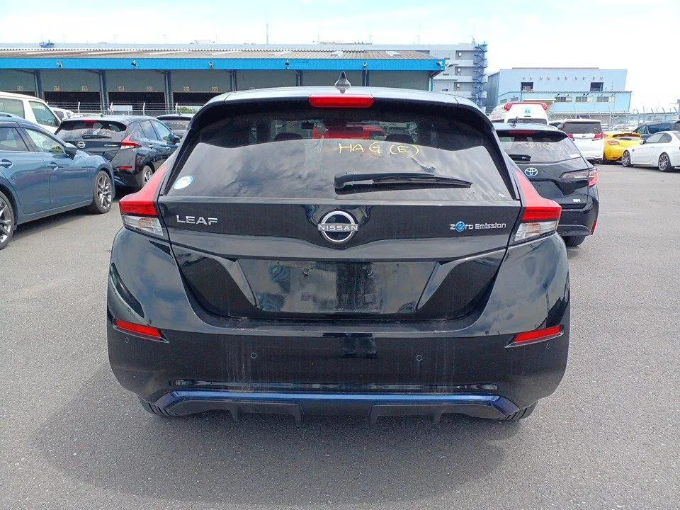 2021 Nissan Leaf e+ X (62kWh) — photo 6