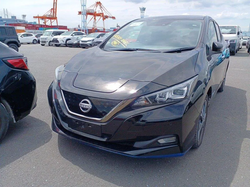 2021 Nissan Leaf e+ X (62kWh) — photo 3