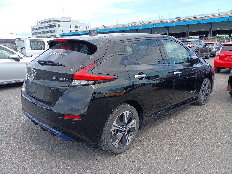 2021 Nissan Leaf e+ X (62kWh) — photo 8