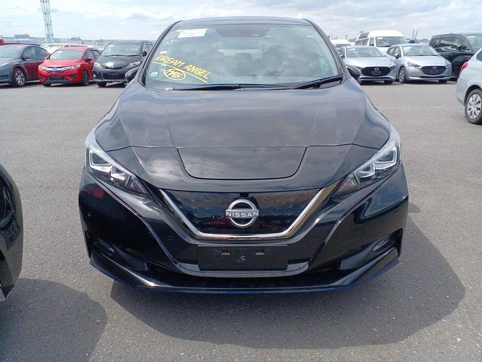 2021 Nissan Leaf e+ X (62kWh) — photo 2
