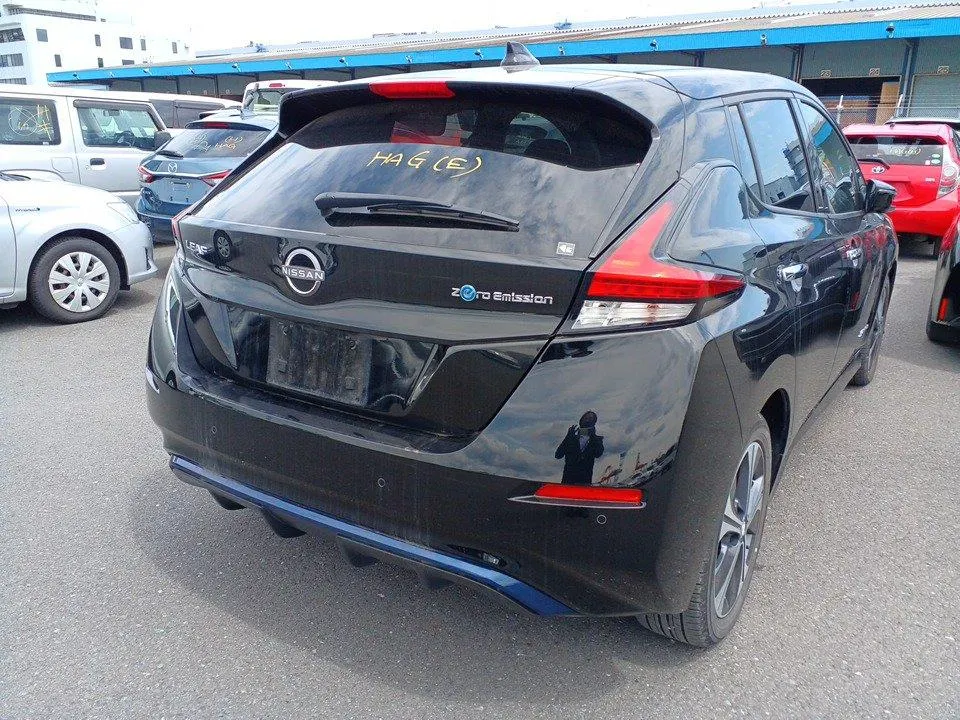 2021 Nissan Leaf e+ X (62kWh) — photo 7