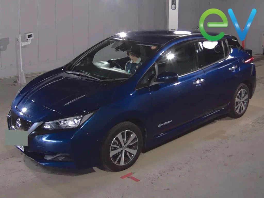 2020 Nissan Leaf X (40kWh) — photo 4