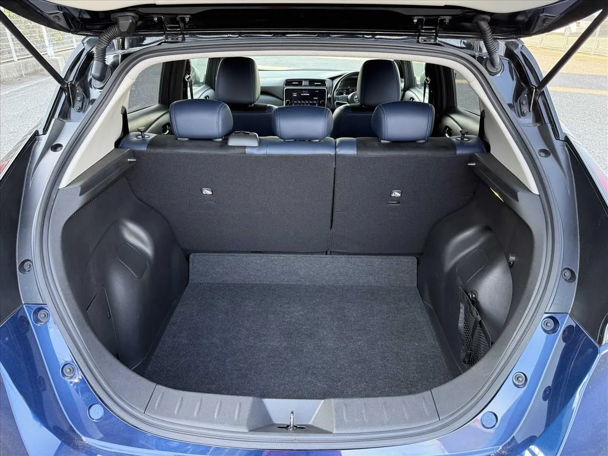 2020 Nissan Leaf AUTECH (40kWh), photo 11