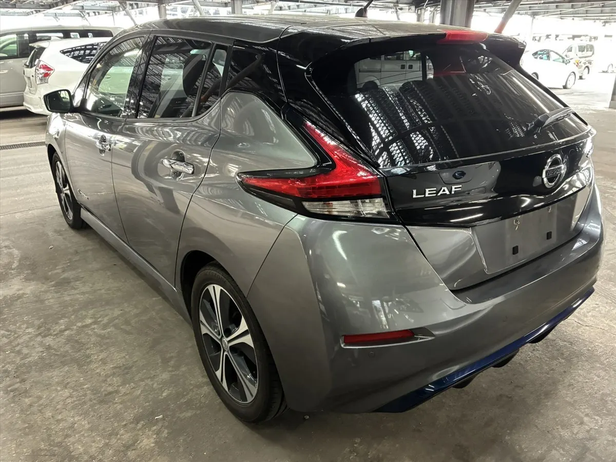2018 Nissan Leaf X 100 Thousand Anniversary (40kWh) — photo 2