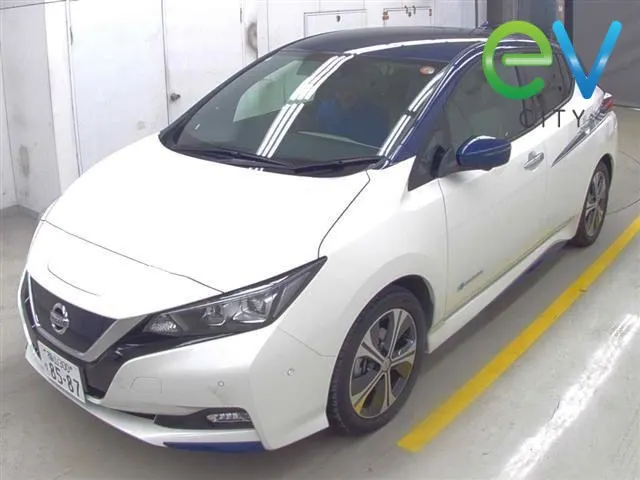 2018 Nissan LEAF G 40kWh with 6 Airbags, Leather Seats, BOSE and Surround View Camera — photo 4