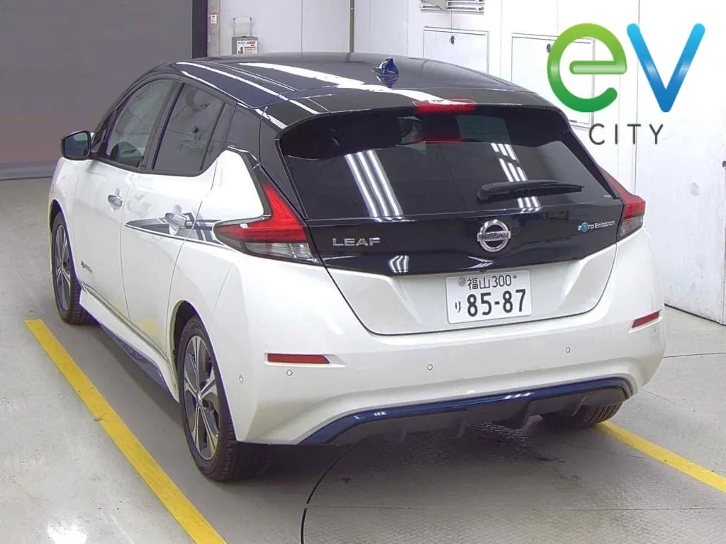 2018 Nissan LEAF G 40kWh with 6 Airbags, Leather Seats, BOSE and Surround View Camera — photo 3
