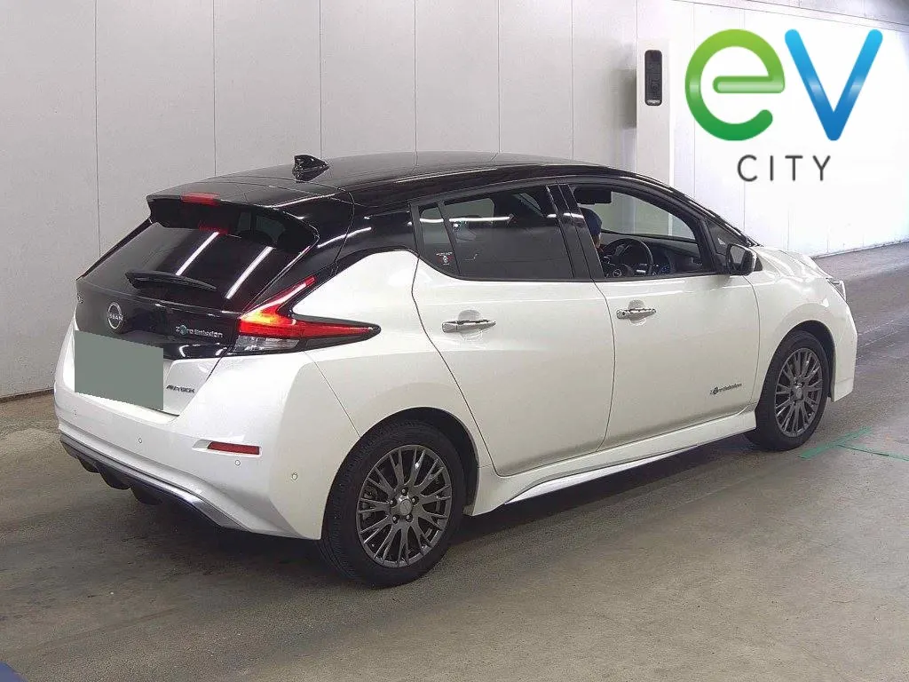 2021 Nissan LEAF E+62kWh AUTECH, photo 2