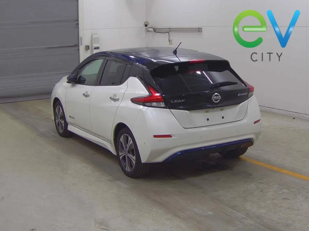 2019 Nissan Leaf G e+ (62kWh) — photo 3