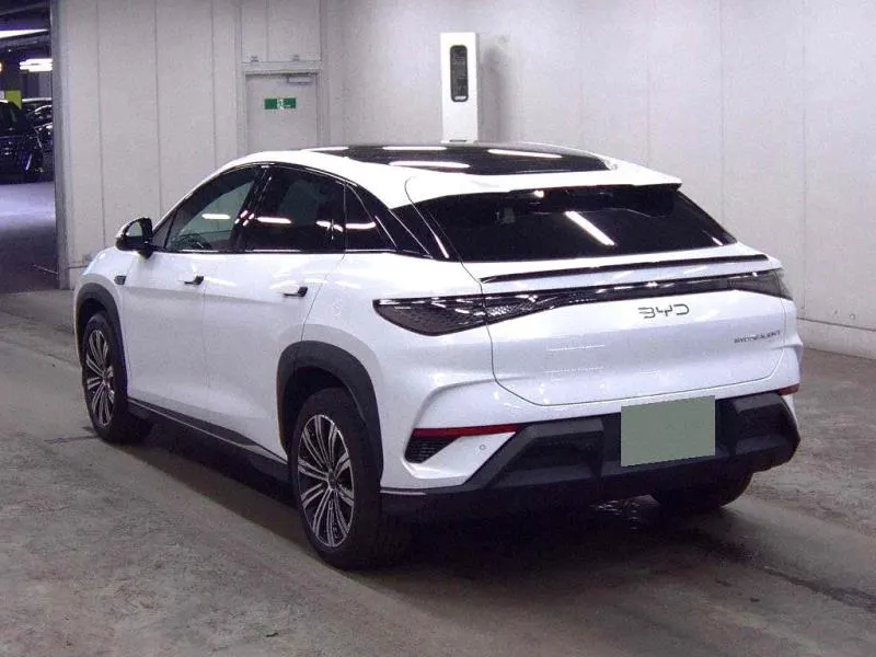 2025 BYD Sealion 7 Premium (82.5kWh), photo 6