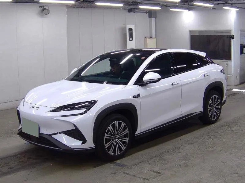 2025 BYD Sealion 7 Premium (82.5kWh), photo 2