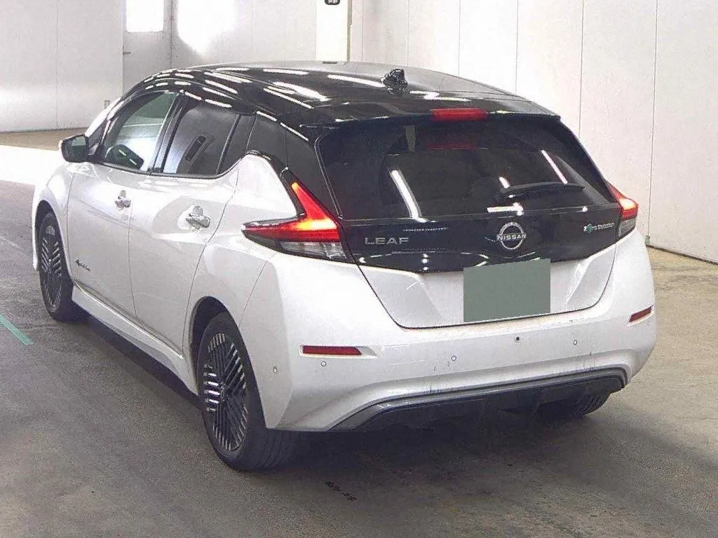 2022 Nissan Leaf e+ G (62kWh) — photo 2