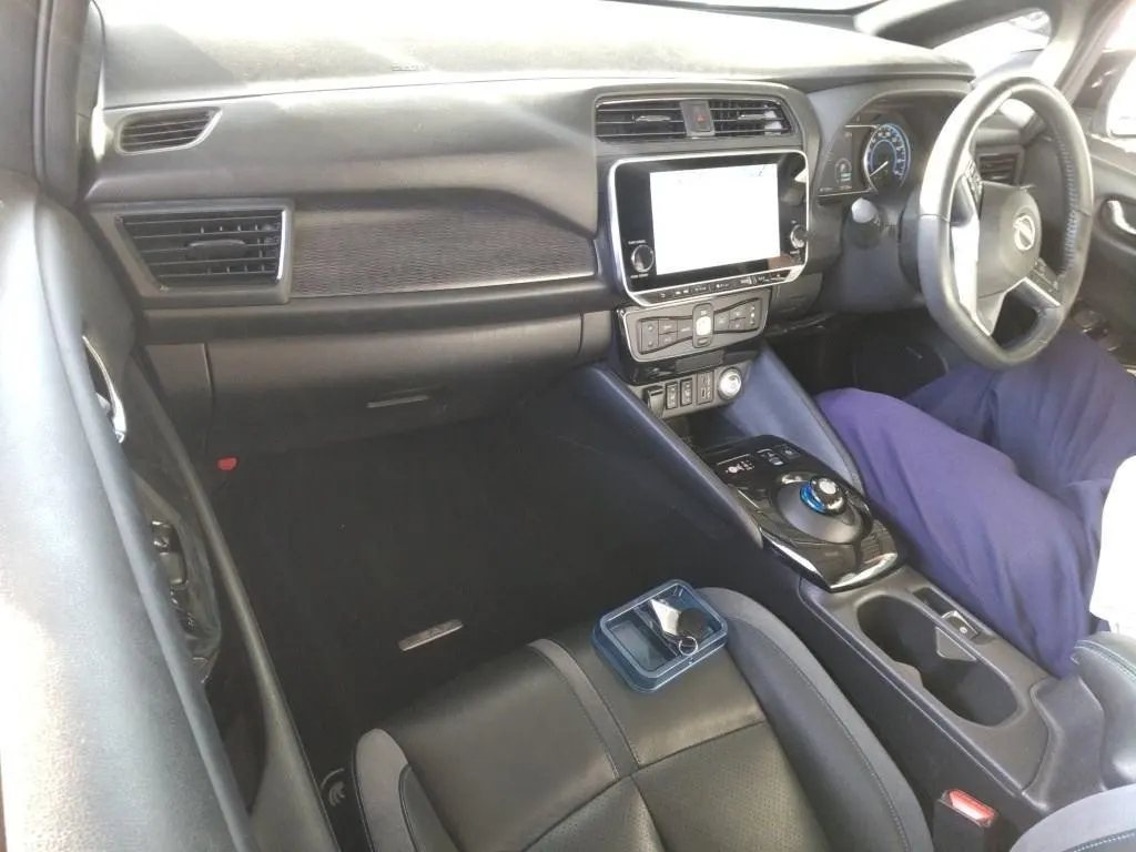 2022 Nissan Leaf e+ G (62kWh) — photo 4