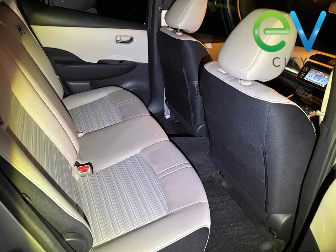 2019 Nissan Leaf e+ X (62kWh) — photo 11