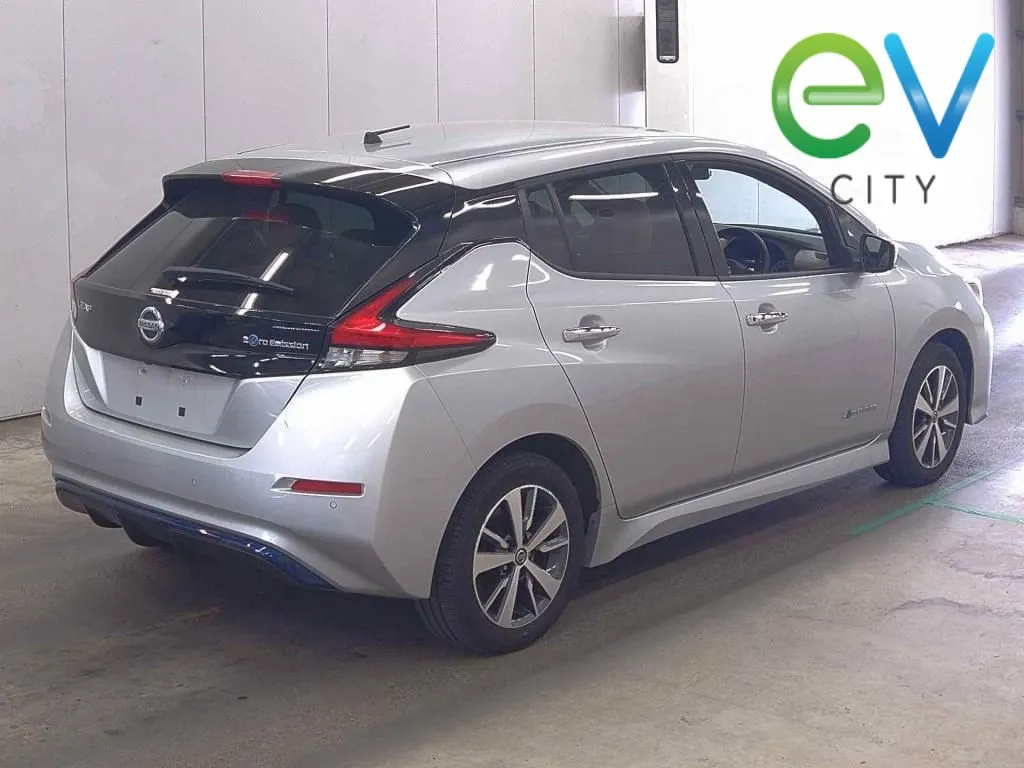 2019 Nissan Leaf e+ X (62kWh) — photo 2