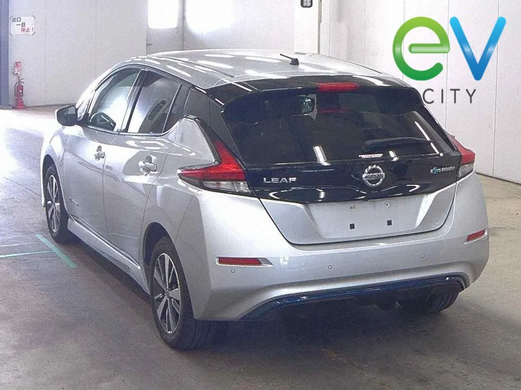 2019 Nissan Leaf e+ X (62kWh) — photo 3