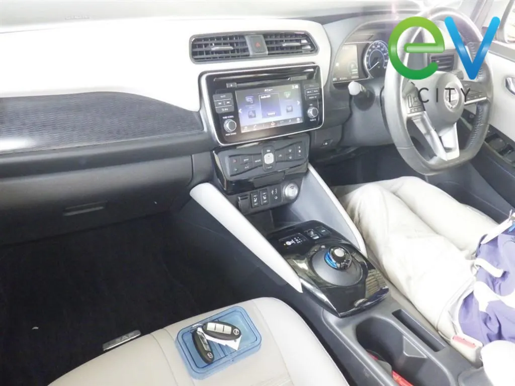 2019 Nissan Leaf e+ X (62kWh) — photo 5