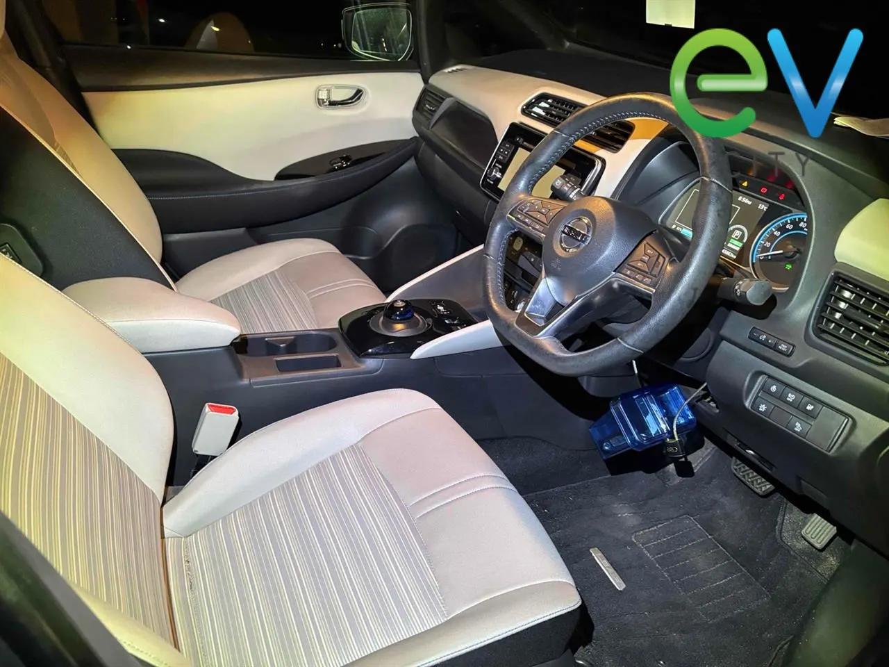 2019 Nissan Leaf e+ X (62kWh) — photo 10